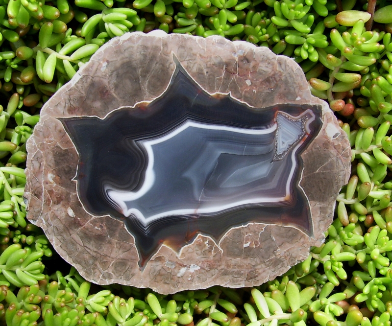 Baker Thunderegg